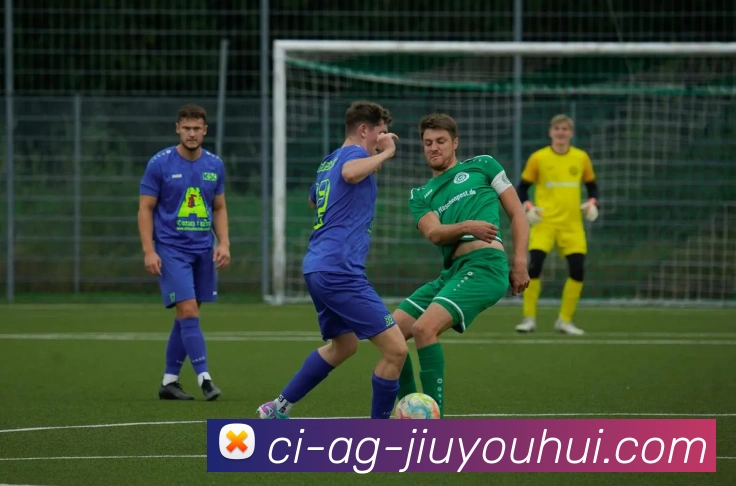 九游会AGGAMES官网平台生态图